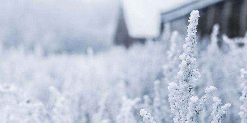 企业工装定制面料全攻略：从辨别到搭配，打造专业团体形象
