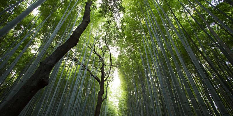 赋能团队，提升效能：基于人体工学的企业工装定制解决方案